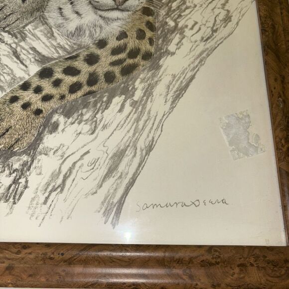 Framed Print Leopard Cub by Samara Seera 18.5 x 22.5” Big Cats African Safari - Picture 4 of 11
